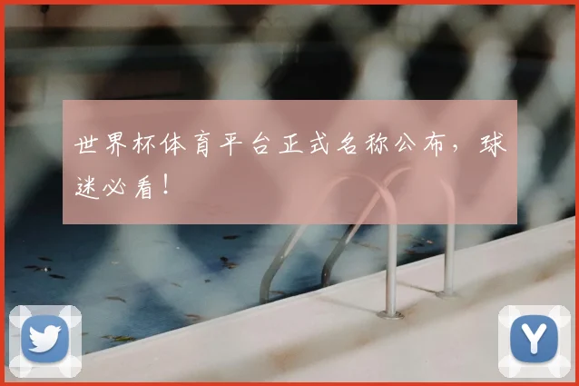 世界杯体育平台正式名称公布，球迷必看！