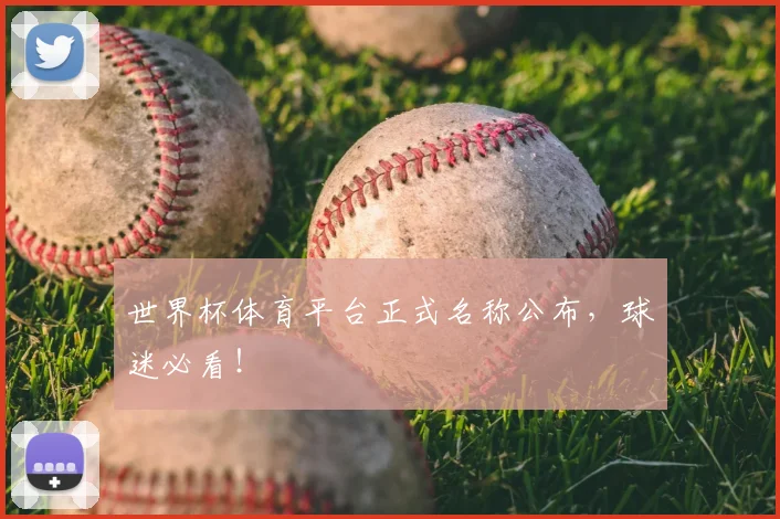 世界杯体育平台正式名称公布，球迷必看！